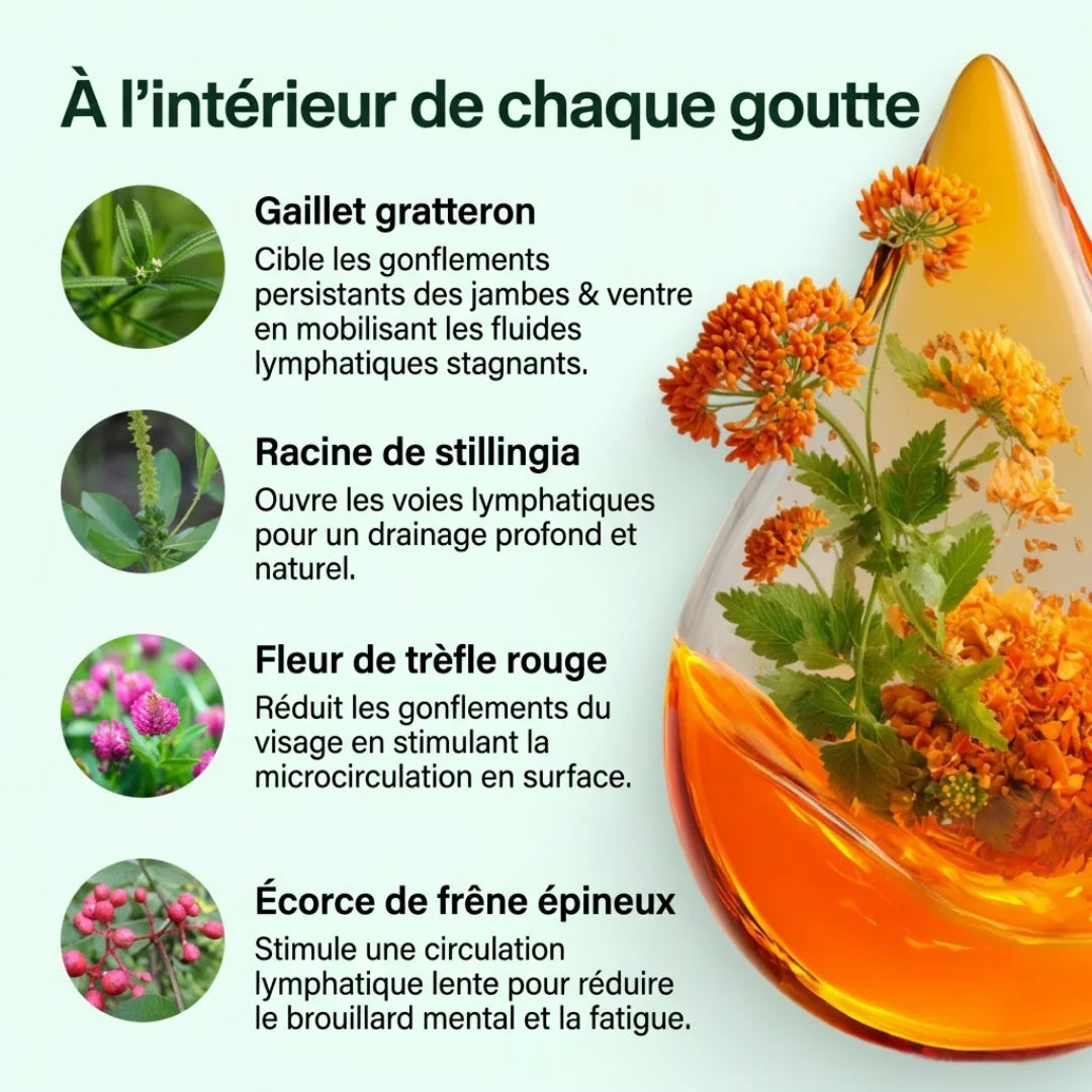 Brûle-Graisse & Drainage Naturel - Burkina Faso