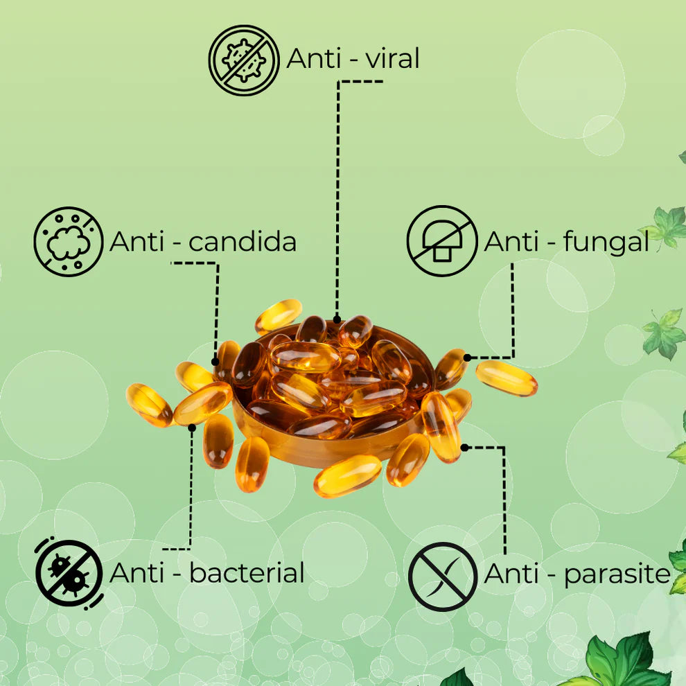 Soutien Naturel de la Santé Intestinale - Burkina Faso