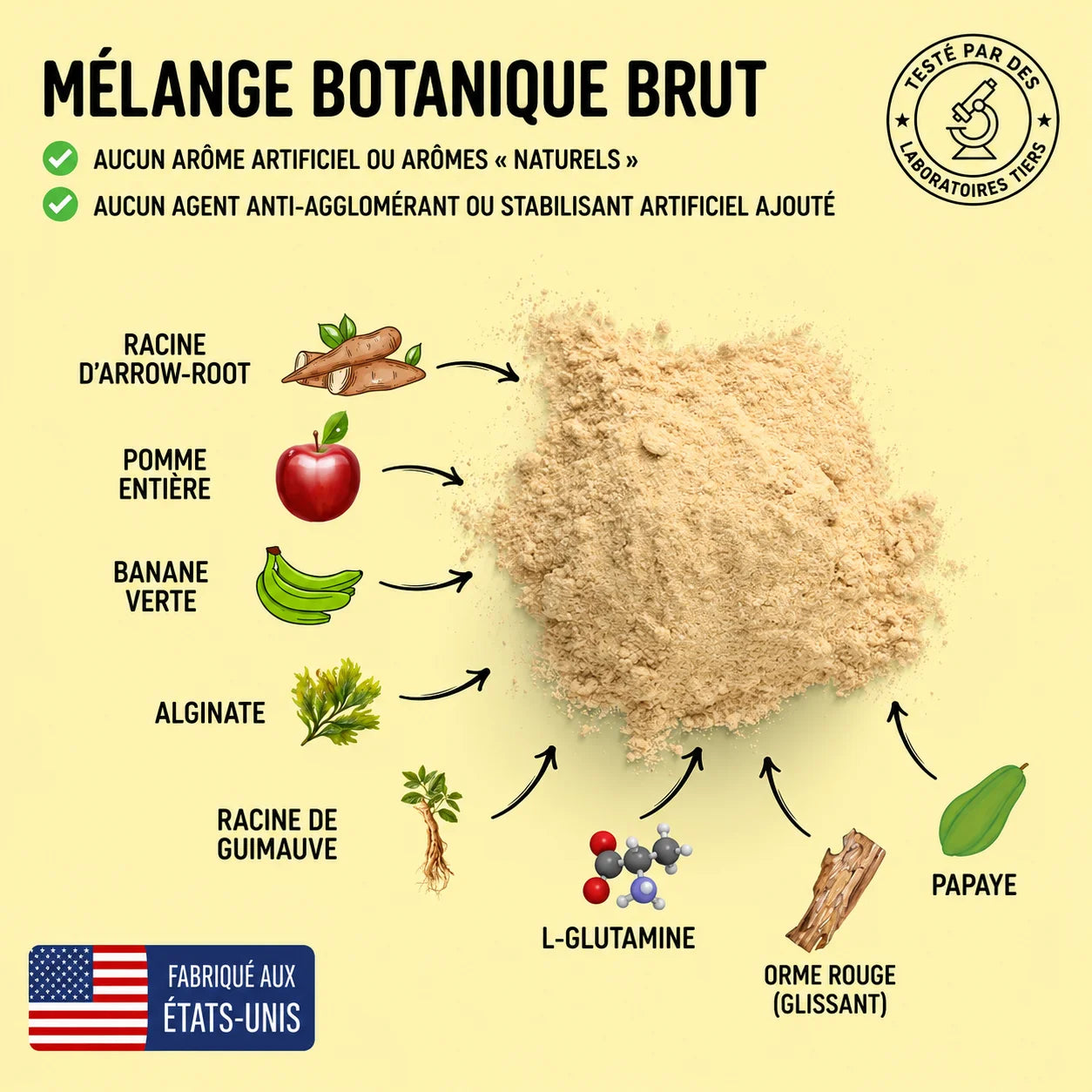 Soutien Digestif aux Plantes - Burkina Faso
