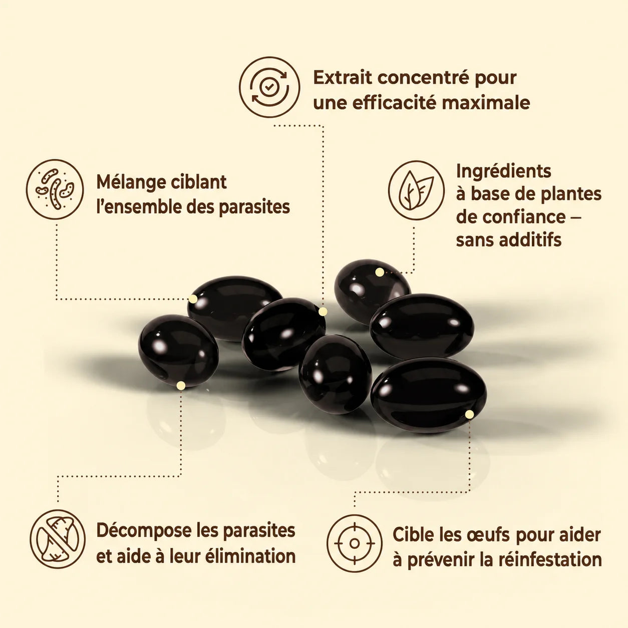 Complexe Botanique pour le Bien-être Digestif - Mali