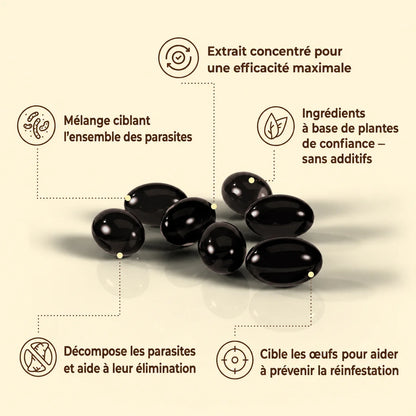 Complexe Botanique pour le Bien-être Digestif - Mali