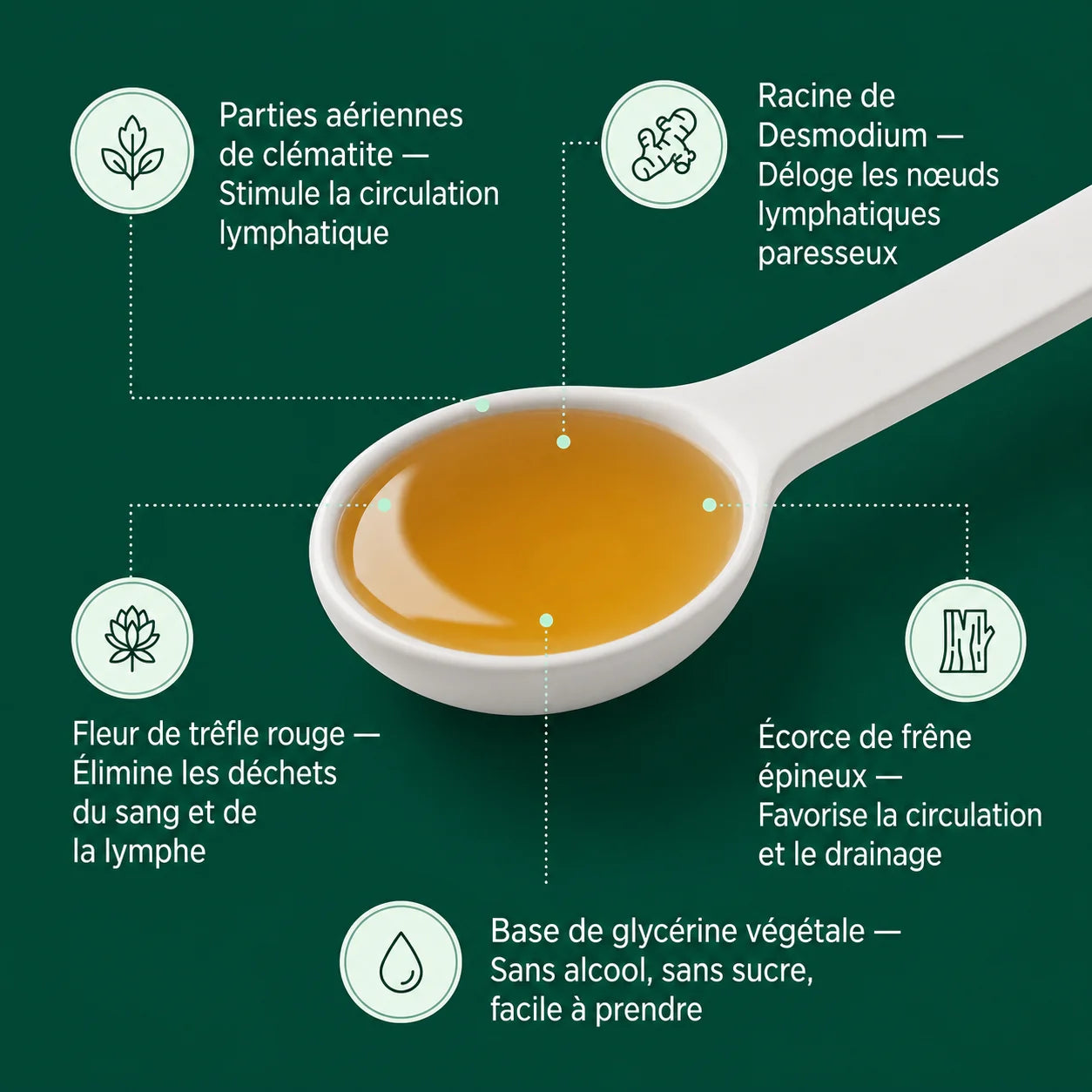 Complexe Drainage Lymphatique aux Plantes - Burkina Faso