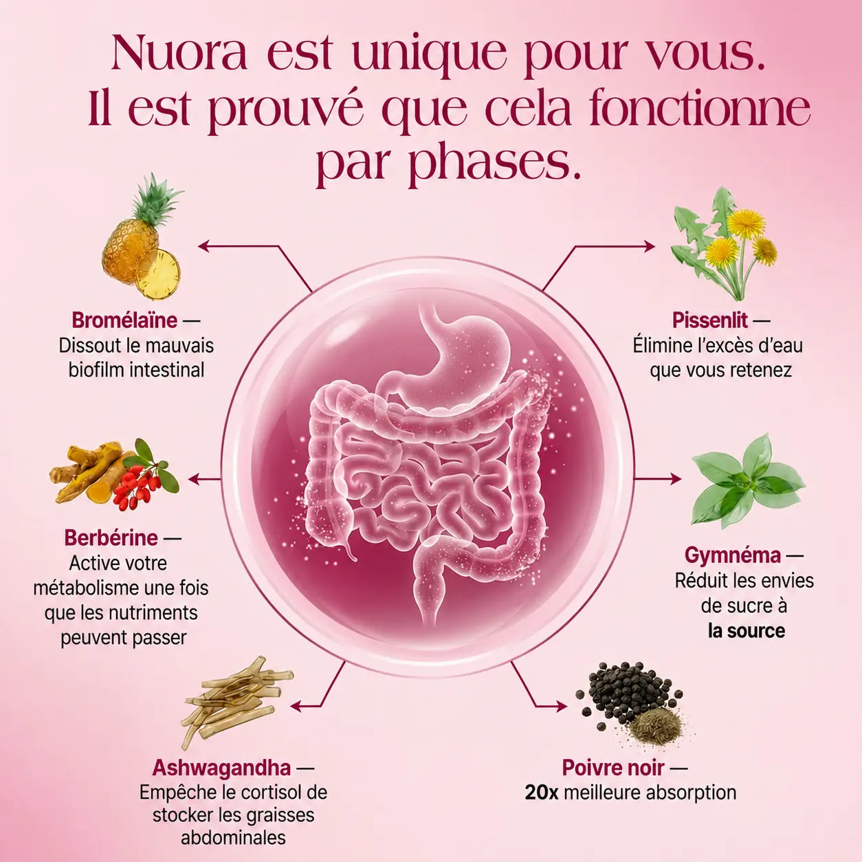 Équilibre Intestinal & Microbiote - Burkina Faso