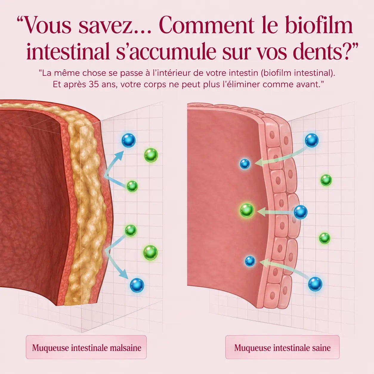 Équilibre Intestinal & Microbiote - Burkina Faso