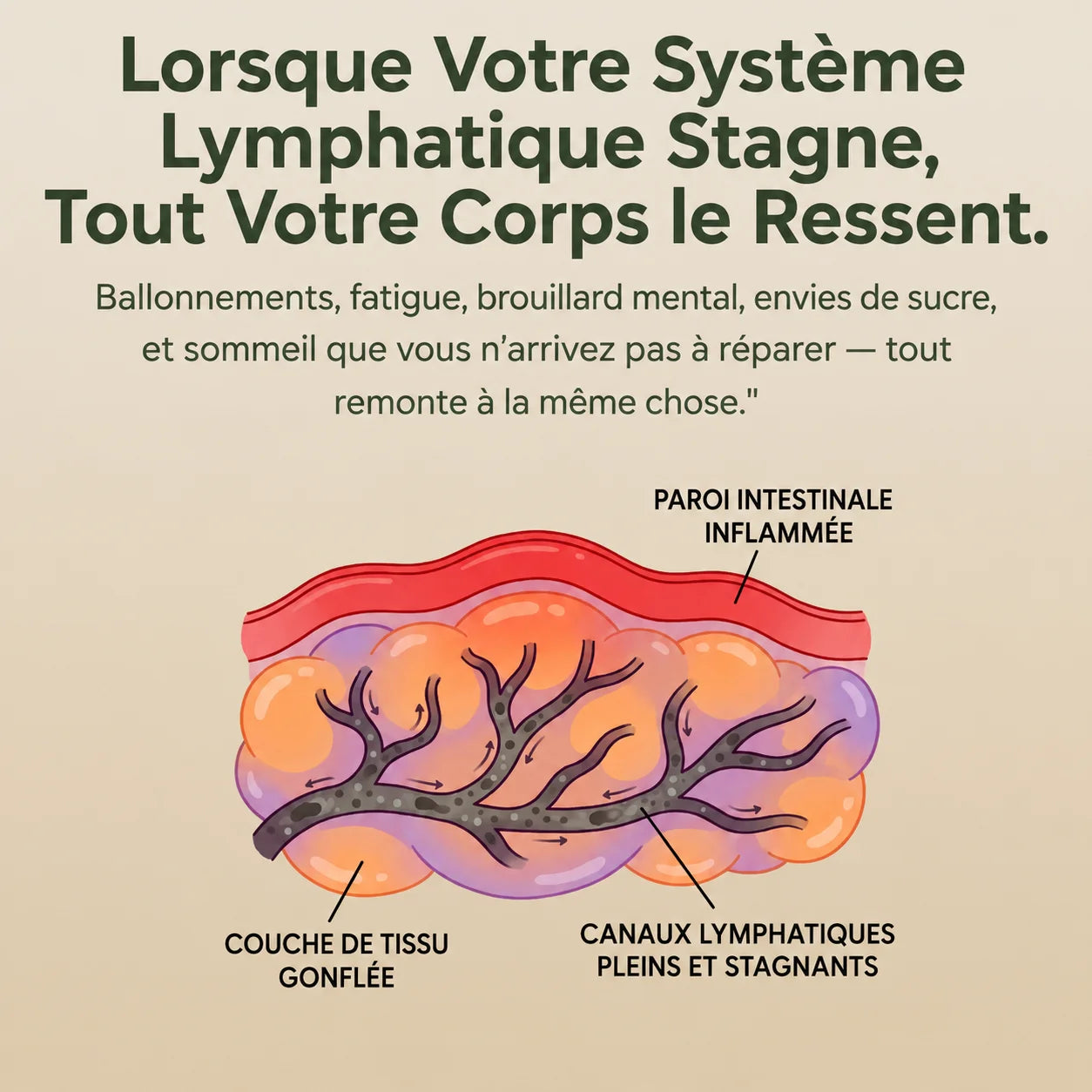 Huile de Ricin Bio Pressée à Froid - Mali