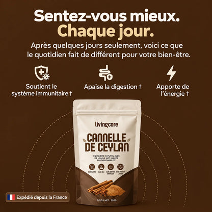 Cannelle de Ceylan Naturelle - Burkina Faso