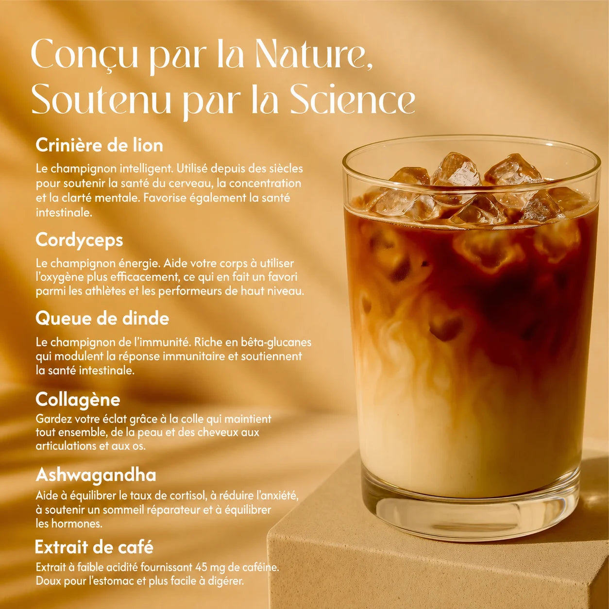 Boisson Superaliment Gourmande & Crémeuse - Mali