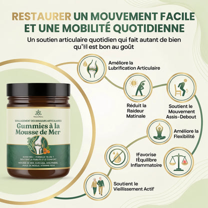 Gummies Confort Articulaire - Burkina Faso