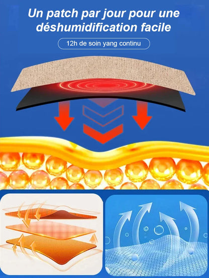 Patch de moxibustion 3 jours pour éliminer l’humidité et la stase - Conakry